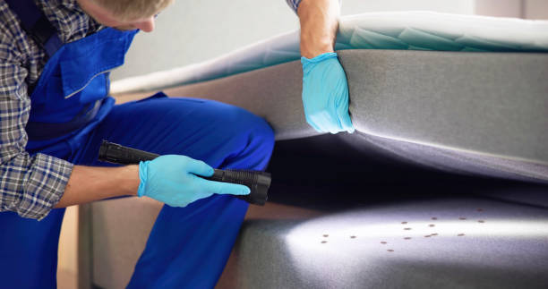 Best Wasp Removal Services  in Brookhaven, WV
